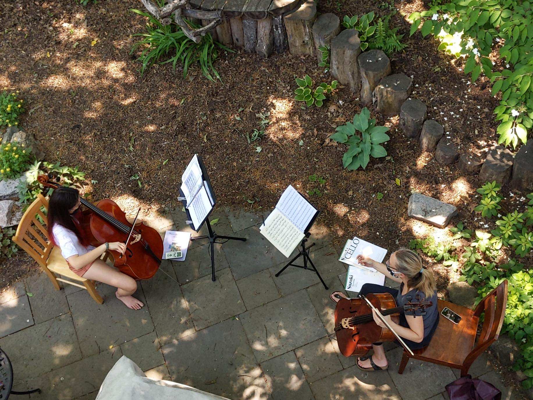 Sister Studio Violin Lessons Blue Mountains